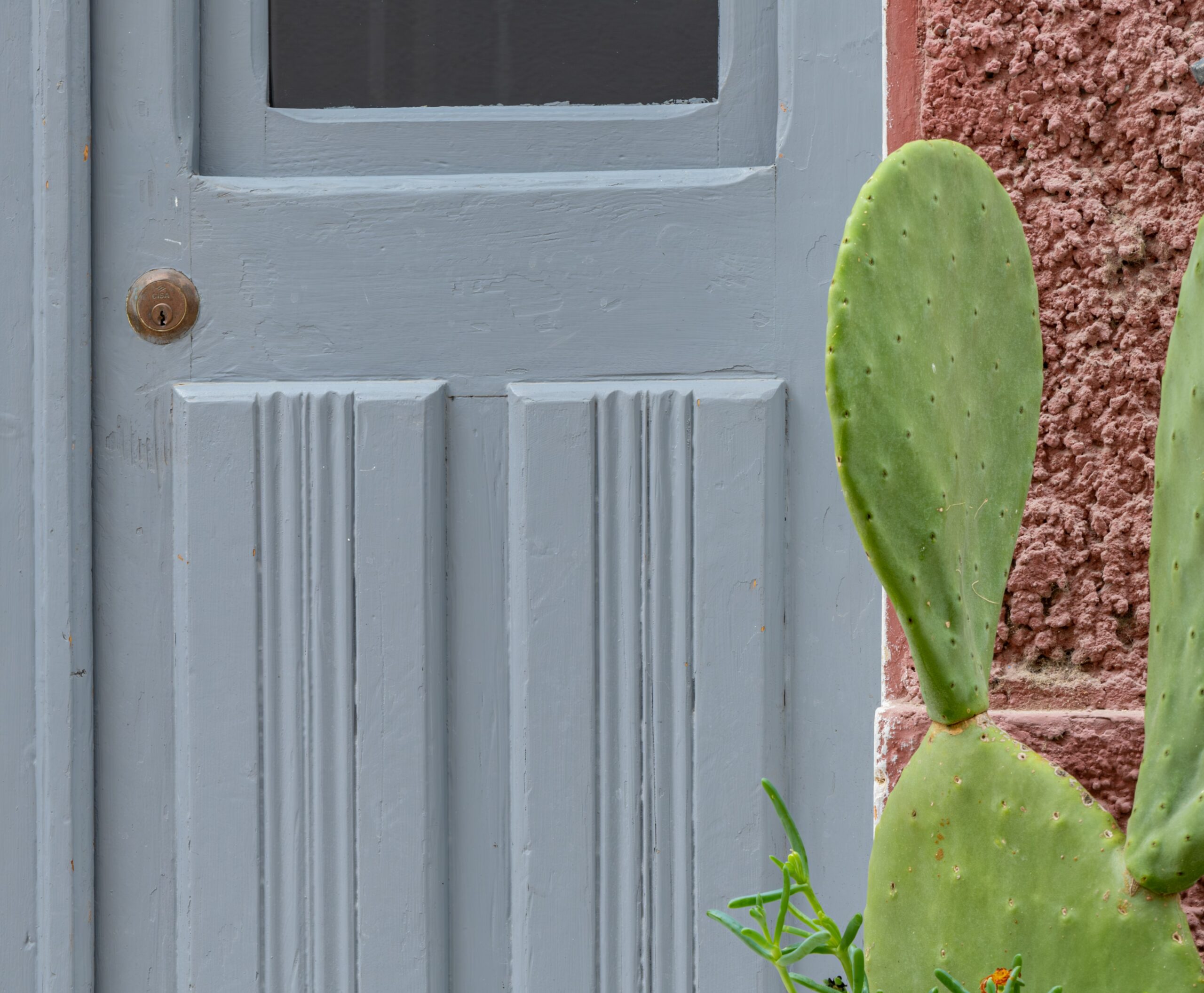 casa del cactus